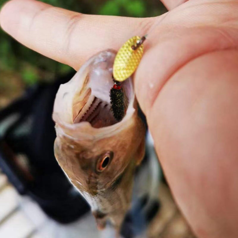 Dovesun Fly Fishing Lures Fly Fishing Flies Wet Fishing Flies Fishing Lures with Fishing Spinner for Bass Sunfish, Pike Hook 14# 10pcs - Image 4